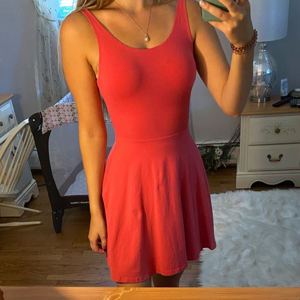 Express Pink Dress
